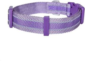 img 1 attached to 🐶 Enhance Your Dog's Safety with Petiry Reflective Dog Collar - Shinny Nylon Collar for Medium & Large Dogs (Purple, Large)