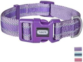 img 3 attached to 🐶 Enhance Your Dog's Safety with Petiry Reflective Dog Collar - Shinny Nylon Collar for Medium & Large Dogs (Purple, Large)