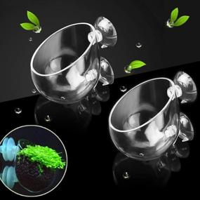 img 4 attached to 🌿 Enhance Your Aquarium with Capetsma Crystal Glass Aquatic Plant Pot: A Perfect Holder for Live Plants and Aquatic Decorations