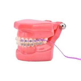 img 2 attached to 🔗 Длинные 4 мм фиолетовые зубные силовые цепи на катушке - эластичные брекеты из резиновой ленты