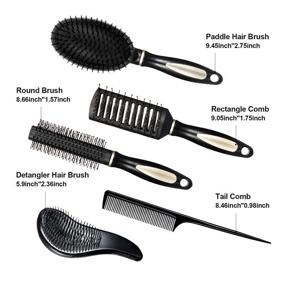 img 3 attached to 👩 Versatile 5-Piece Hair Brush Set: Detangling, Paddle, Round Brushes & More for Styling - Perfect for Women & Men (Black)