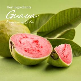 img 2 attached to 🍊 VIOIS Guava Fig & Orange Aromatherapy Car Air Freshener Gel - Handcrafted for Car and Small Room - Chemical-Free & Non-Toxic - 8 Ounce (225g) Jar