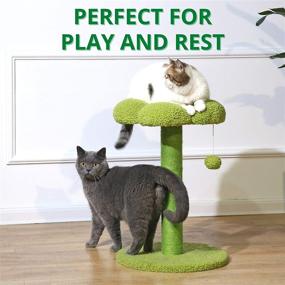 img 2 attached to PetnPurr Cat Flower Scratching Post: Protects Furniture with Sisal Scratcher, Perch, and Toy