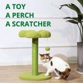 img 3 attached to PetnPurr Cat Flower Scratching Post: Protects Furniture with Sisal Scratcher, Perch, and Toy