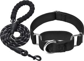 img 4 attached to Haapaw 2 Packs Martingale Dog Collar: Ideal Collars for Small, Medium, and Large Dogs