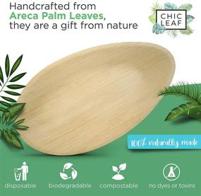 img 3 attached to Chic Leaf Platter: Eco-Friendly Disposable Bamboo Food Service Solutions & Supplies