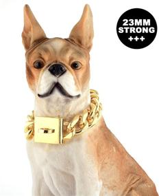 img 3 attached to 🐶 TXPRODOGCHAINS Gold Chain Dog Collar - Heavy Duty 23MM Thick 18K Cuban Link - Stainless Steel Metal Links - Walking Training Chain Necklace for Medium Large Dogs - 18 to 26 Inches