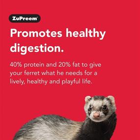 img 3 attached to ZuPreem Premium Daily Grain Free Ferret Diet Food - Optimal Nutrition, Easy Digestion, Protein-Rich (2-Pack - 4 lb each)
