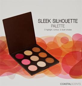 img 3 attached to 🎨 Coastal Scents Sleek Silhouette Blush, Highlighter, and Bronzer Palette for Enhanced Results (PL-017)