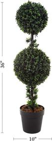 img 3 attached to 🌿 36-inch Pure Garden Artificial Podocarpus with Double Ball Styling - Realistic Indoor/Outdoor Faux Shrub in Sturdy Pot - Home Décor