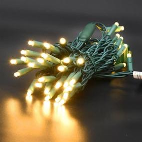 img 2 attached to 🌲 Enchant Your Outdoor Space with 50 Count 5MM Wide Angle LED Christmas Lights Set – Perfect Decoration for Garden, Patio, and Christmas Trees! 17 Feet of Warm White Glow on Green Wire.