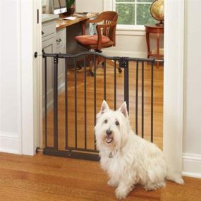 img 4 attached to 🐾 Windsor Arch Pet Gate: Triple Lock, Heavy Duty Metal Construction, Pressure Mount, Fits 28.25"-38.25" Wide, 28.5" Tall, Matte Bronze - Ideal for Dogs and Cats, MYPET™