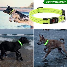 img 3 attached to 🐶 VIZPET Led Dog Collar: Rechargeable & Waterproof, Super Bright Flashing Light for Night Safety