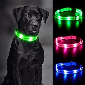 img 4 attached to 🐶 VIZPET Led Dog Collar: Rechargeable & Waterproof, Super Bright Flashing Light for Night Safety