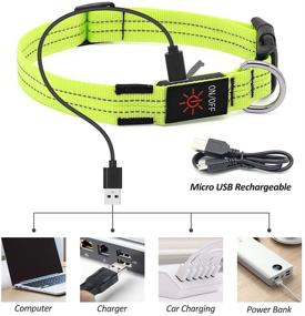 img 1 attached to 🐶 VIZPET Led Dog Collar: Rechargeable & Waterproof, Super Bright Flashing Light for Night Safety