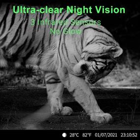 img 2 attached to 📷 KINKA-Trail Camera: Night Vision, Waterproof, 20MP Scouting Camera for Hunting & Wildlife Monitoring (SD Card Included)