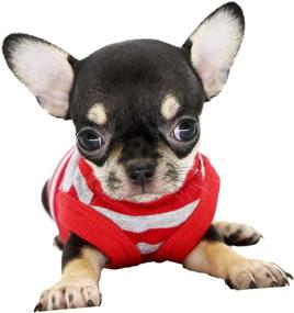 img 3 attached to 🐶 LOPHIPETS: Premium, 100% Cotton Striped Dog Shirts for Small Dogs - Ideal for Chihuahuas and Puppies!