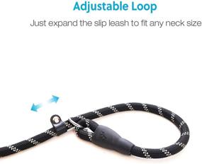 img 1 attached to WePet Durable Reflective Dog Leash for Medium Large Dogs - Premium Quality Leashes with Strong Pulling Support, Comfortable Padded Handle - 6 Feet Slip Rope Lead for Walking and Training - Pack of 2