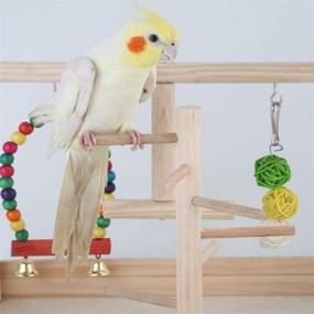 img 3 attached to 🦜 Premium Parrot Playstand Bird Play Stand with Cockatiel Birdcage Stands Wood Perch: Ultimate Conures Playground Gym Playpen featuring Ladder, Swing, Rope Stands, Bell & Chewing Toys for Exercise & Fun - Best for Cockatoo, Macaws, African Grey!