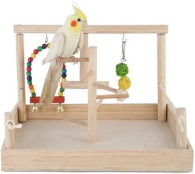 img 4 attached to 🦜 Premium Parrot Playstand Bird Play Stand with Cockatiel Birdcage Stands Wood Perch: Ultimate Conures Playground Gym Playpen featuring Ladder, Swing, Rope Stands, Bell & Chewing Toys for Exercise & Fun - Best for Cockatoo, Macaws, African Grey!