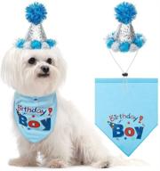 bingpet dog birthday bandana hat логотип