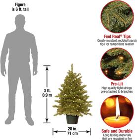 img 2 attached to 🎄 National Tree Company 'Feel Real' Artificial Christmas Tree for Entrances with White Lights, Stand Included, Hampton Spruce - 3ft