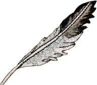 🕊️ black and silver feather embroidered iron-on patch by square deal recordings & supplies - enhanced for seo logo