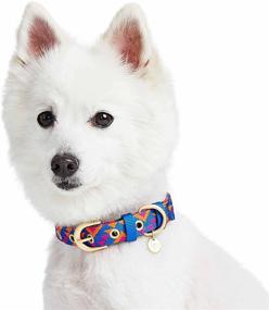 img 2 attached to 🐶 Blueberry Pet 2021 Adjustable Dog Collar with Metal Buckle - Southwestern Tribal Triangles Design in Navy Blue, Neck 13-16.5" - Ideal for Medium Breed Dogs