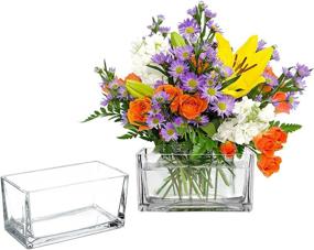 img 3 attached to 🎉 Stylish Set of 2 - 7.5 Inch Clear Glass Rectangle Block Vases for Weddings