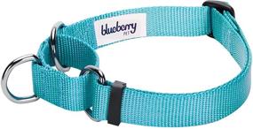 img 2 attached to 🐶 Blueberry Pet Essentials: 21 Colorful Safety Training Martingale Dog Collars, Personalized Martingale Dog Collars