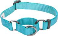 🐶 blueberry pet essentials: 21 colorful safety training martingale dog collars, personalized martingale dog collars logo