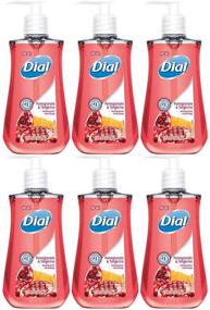 img 1 attached to DIA02795 - Dial Pomegranate Antibacterial Hand Soap - 6 Pack: Stay Fresh & Germ-Free with this Multipack!