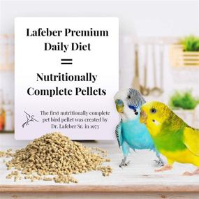 img 3 attached to LAFEBERS Premium Daily Diet Parakeets