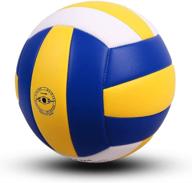 evzom volleyball official training equipment logo