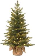 3 feet national tree company pre-lit 'feel real' nordic spruce mini christmas tree with white lights and burlap bag base logo