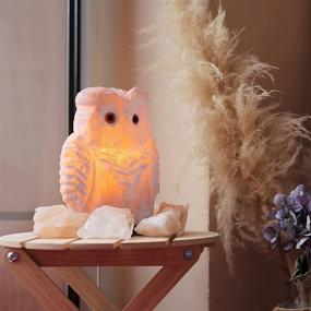 img 2 attached to Owl Crystal Salt Lamp 6 7