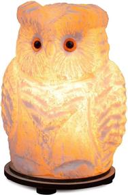 img 4 attached to Owl Crystal Salt Lamp 6 7
