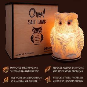 img 3 attached to Owl Crystal Salt Lamp 6 7