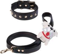 🐾 small medium designer girl leather dog collar and leash set - waterproof 5ft walking leash with handle, durable matching lead leash, comfortable adjustable puppy collar - fancy buckle design logo