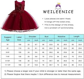 img 3 attached to Weileenice Princess Christmas Dress: Lace Flower Girl Wedding Prom Pageant Birthday Party Tutu Tulle Dresses