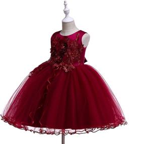 img 2 attached to Weileenice Princess Christmas Dress: Lace Flower Girl Wedding Prom Pageant Birthday Party Tutu Tulle Dresses