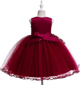 img 1 attached to Weileenice Princess Christmas Dress: Lace Flower Girl Wedding Prom Pageant Birthday Party Tutu Tulle Dresses