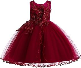 img 4 attached to Weileenice Princess Christmas Dress: Lace Flower Girl Wedding Prom Pageant Birthday Party Tutu Tulle Dresses