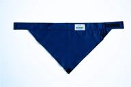 airbandit merv 16 filtered bandana blue logo