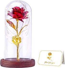 img 4 attached to 🌹 Enchanting Tongtai Galaxy Rose Flower Gift with LED Light String in Glass Dome - Perfect Gifts for Women, Mom, on Birthdays, Weddings, Anniversaries - Stunning Room, Home, Bedroom Decor