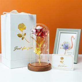 img 2 attached to 🌹 Enchanting Tongtai Galaxy Rose Flower Gift with LED Light String in Glass Dome - Perfect Gifts for Women, Mom, on Birthdays, Weddings, Anniversaries - Stunning Room, Home, Bedroom Decor