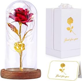 img 3 attached to 🌹 Enchanting Tongtai Galaxy Rose Flower Gift with LED Light String in Glass Dome - Perfect Gifts for Women, Mom, on Birthdays, Weddings, Anniversaries - Stunning Room, Home, Bedroom Decor