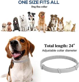 img 2 attached to 🐾 2020 New Dog Collar: Waterproof, Fast-Acting & Long-Lasting Protection for Small, Medium & Large Dogs