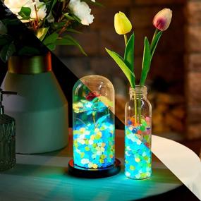 img 2 attached to BBTO Decorations Aquarium Glowing Driveways Fish & Aquatic Pets
