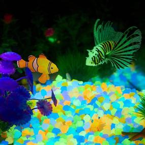 img 3 attached to BBTO Decorations Aquarium Glowing Driveways Fish & Aquatic Pets